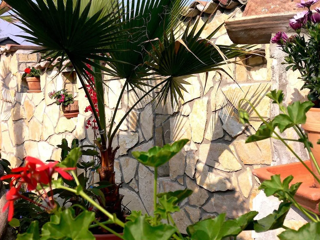 Aparthotel Apartmenthaus Casa Palma Buehl
